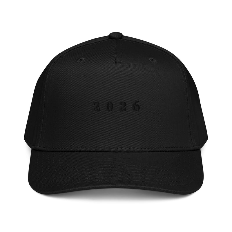 5 panel cap