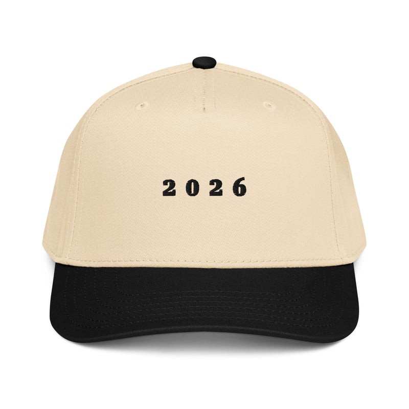 5 panel cap